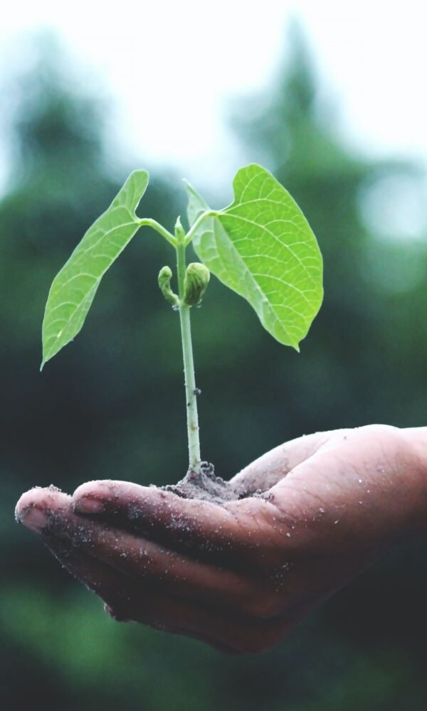 Met zijn allen tegen de klimaatcrisis